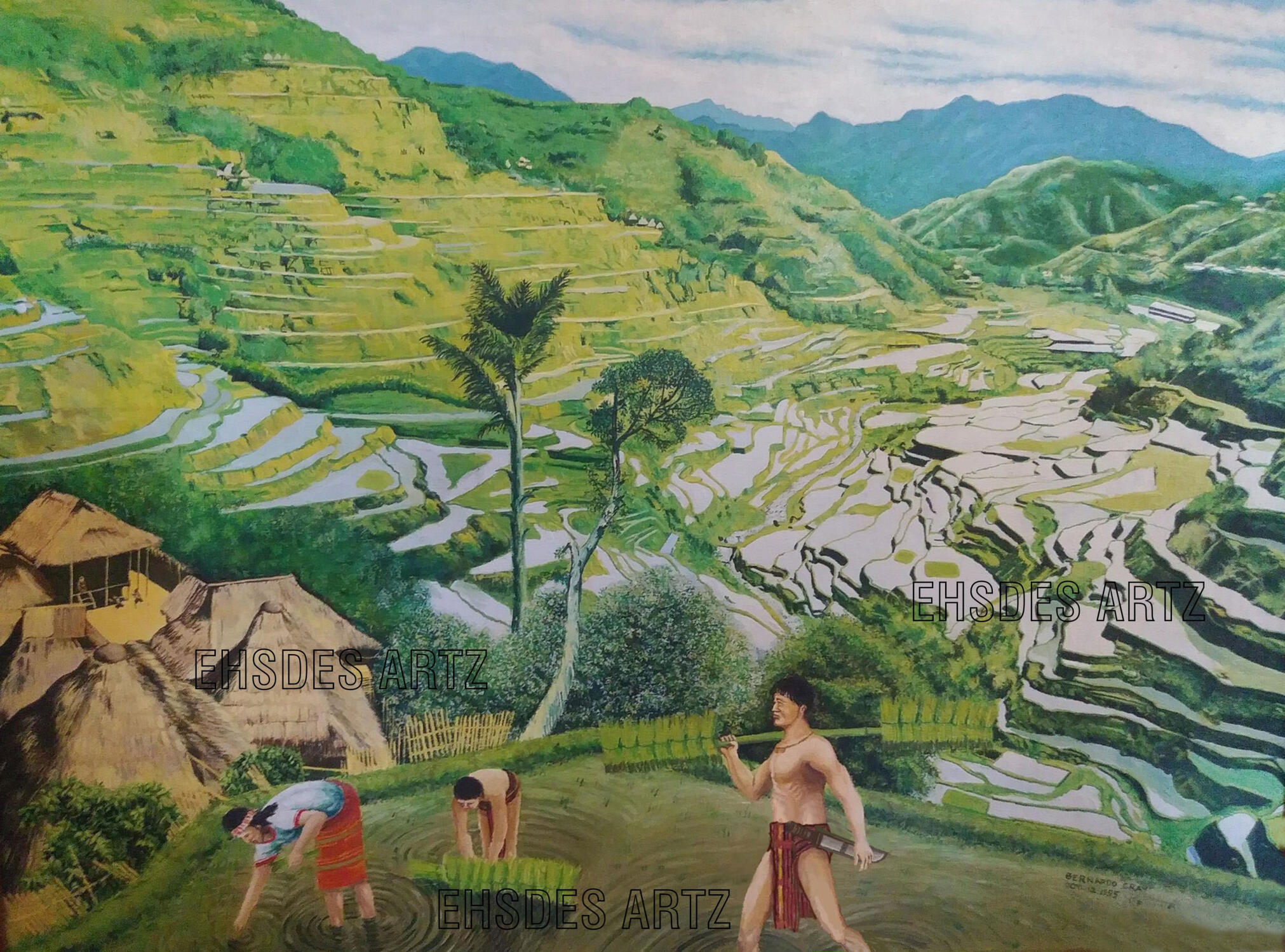 Banaue Rice Terraces 30”x40” oil paint – scene here about 1970s traditional rice planting